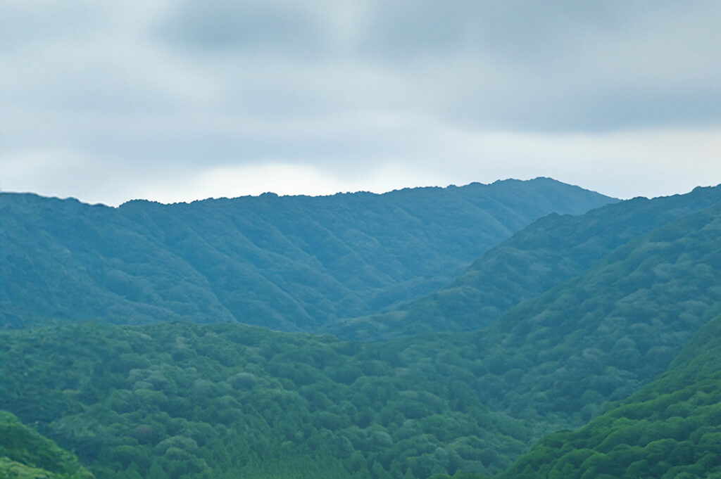 人と木と森、共生の歴史